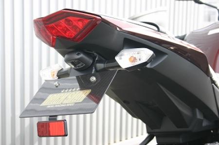 トリックスター フェンダーレスキット Z1000 10