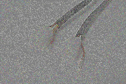 アルキャンハンズ LCミラー タイプ4 カクガタ 10mm メッキ