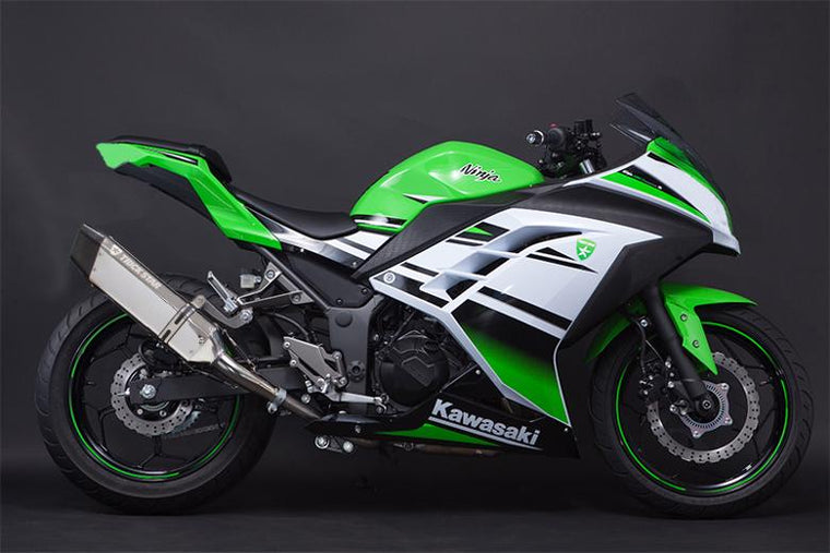 トリックスター トリックスター 政府認証S O イカヅチステンカーボン Ninja250 13-17 カタログ品番：P092-5326 メーカー品番：JSS-015D-L4SC