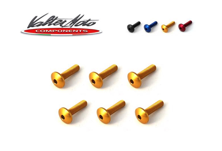VALTER MOTO COMPONENTS バルターモト.C スクリーンボルトキット ゴールド GSX-R1000 17 カタログ品番：P083-7762 メーカー品番：VMC-VEV09S