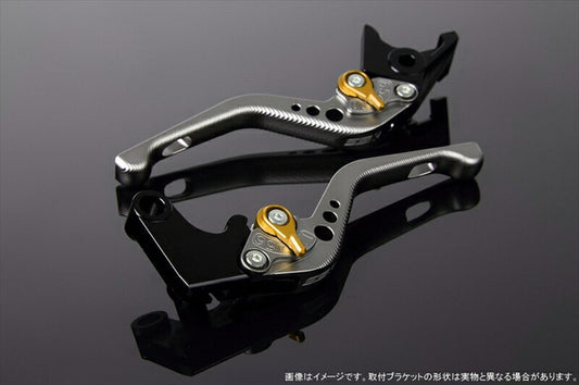 SPEEDRA アジャストレバー 3Dショート Mチタン／Mゴールド NINJA1000 17-18 Z1000 17-18 Z900RS LVFM028TM-GD