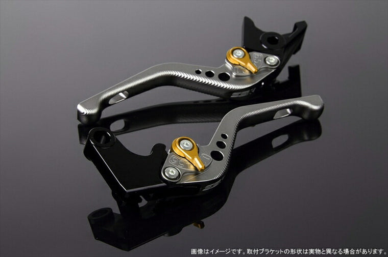 SPEEDRA アジャストレバー 3Dショート Mチタン／Mゴールド NINJA1000 17-18 Z1000 17-18 Z900RS LVFM028TM-GD