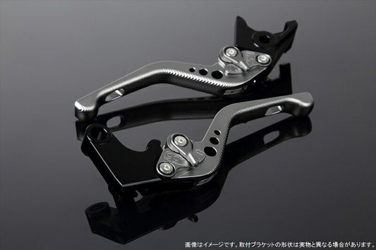 SPEEDRA アジャストレバー 3Dショート Mチタン／Mチタン NINJA1000 17-18 Z1000 17-18 Z900RS LVFM028TM-TM