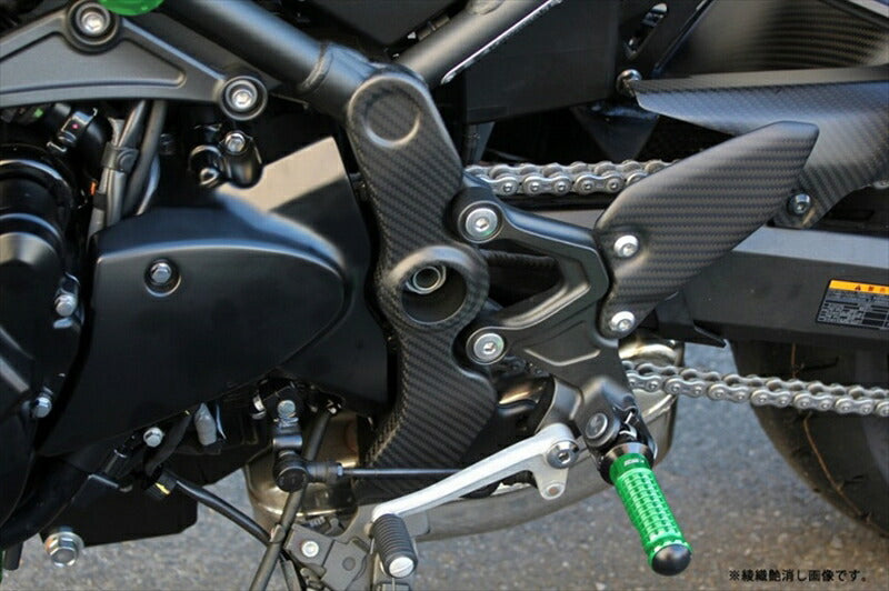 SPEEDRA フレームカバー左右セット ドライカーボン 平織艶あり Z900RS