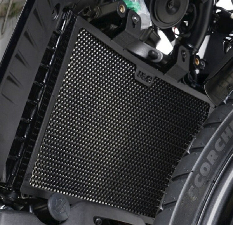 アールアンドジー｜ラジエターガード チタンカラー HD Pan America 21-｜RG-RAD0280TI