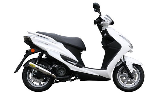 アールピーエム RPM RPMマフラー CYGNUS-X125(2BJ-SED8J) カタログ品番：P088-5571 メーカー品番：3038