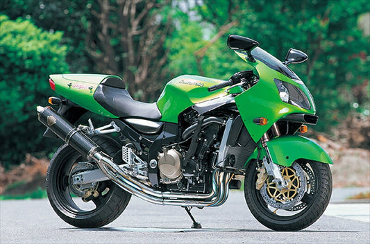 マフラー  アールズギア アールズギア ワイバン シングル カーボン ZX-12R WK04-11CF 4582329789096 取寄品