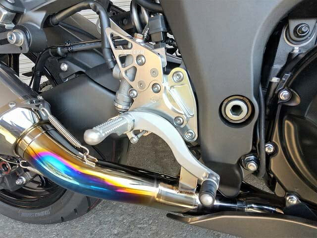 ビート BEET ハイパーバンク 固定式 SLV Ninja1000 SX 20 カタログ品番：P100-3046 メーカー品番：0111-KF7-20