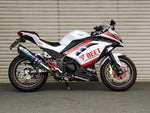 ビート BEET ナサートR Evo TYPE-2 クリアチタン Ninja250 13- カタログ品番：P072-3815 メーカー品番：1003-B25-03