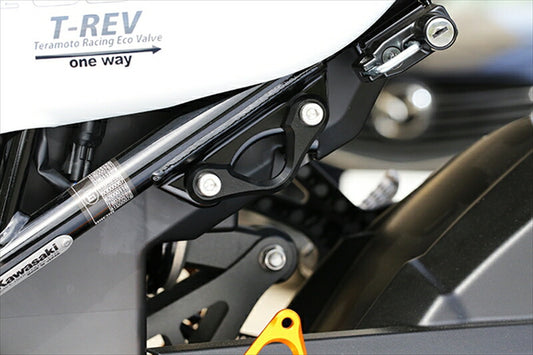 ベビーフェイス｜ベビーフェイス レーシングフック／GLD Z900RS 18-｜005-FK007GD