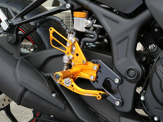 BABYFACE ベビーフェイス レースコンセプトステップキット Ver15.2 GLD YZF-R25 15-16 カタログ品番：P098-0427 メーカー品番：R02-Y004GD