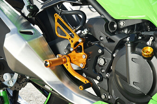 BABYFACE ベビーフェイス レースコンセプト ステップキット GLD NINJA250 400 18- カタログ品番：P091-5737 メーカー品番：R02-K008GD