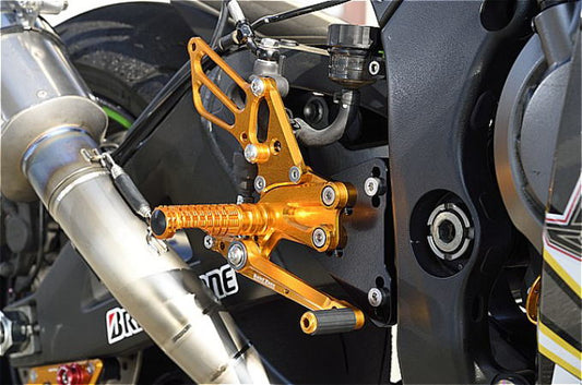 BABYFACE ベビーフェイス レースコンセプトステップキットGD vr19 逆シフトZX-10R 16- カタログ品番：P100-7855 メーカー品番：R02-K009GD