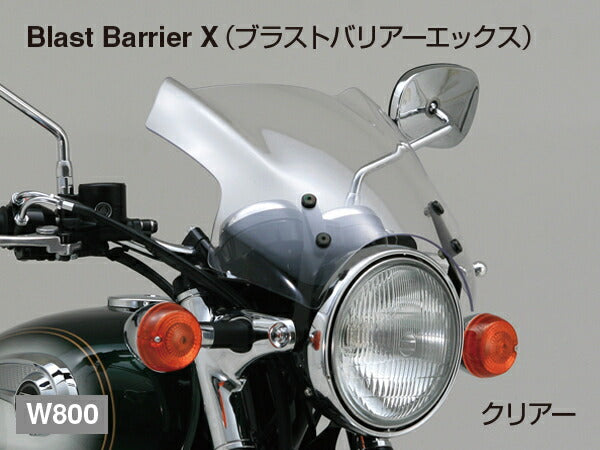 DAYTONA デイトナ ブラストバリアー ステー W800 カタログ品番：P047-1577 メーカー品番：74746
