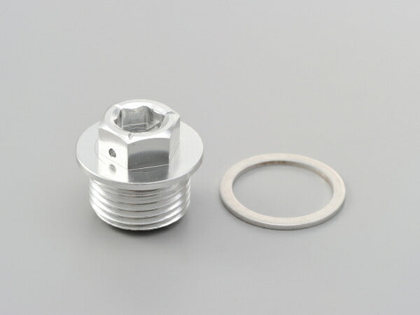 DAYTONA デイトナ オイルクリーンボルトM24X14XP2.0 カタログ品番：P079-4938 メーカー品番：96447