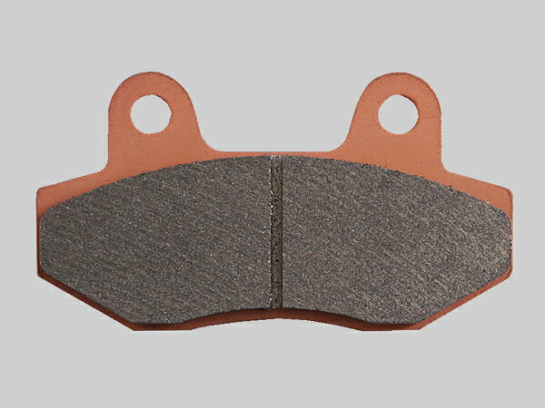 DAYTONA デイトナ ゴールデンパッドX(F)NSR50(-92 カタログ品番：P084-7664 メーカー品番：97110