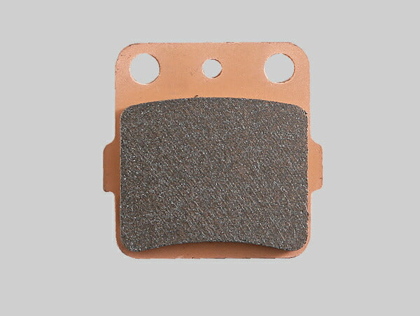 DAYTONA デイトナ ゴールデンパッドX(F)DF200 カタログ品番：P084-7654 メーカー品番：97155