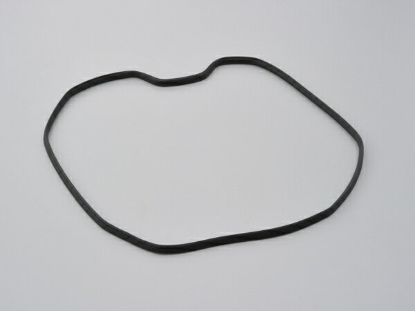 DAYTONA デイトナ GIVI Z795R トリム V37 カタログ品番：P098-8749 メーカー品番：16905