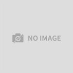 バイク用品 電装系　デイトナ DAYTONA HS プロトン2(ブラック)ウインカー　17308 4909449560846　取寄品 セール