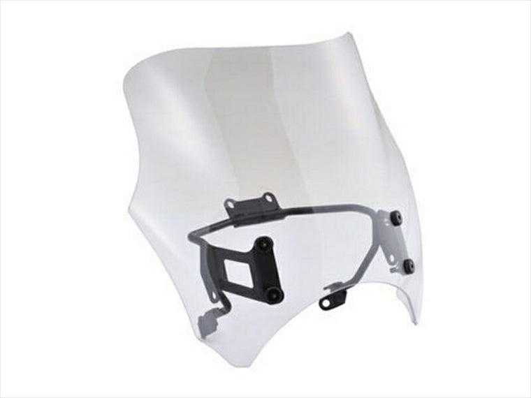 デイトナ｜DAYTONA ブラストバリアー クリア REBEL250｜24478