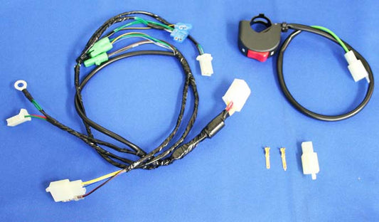 CF-POSH シーエフポッシュ レーシングハーネスキット APE50 100(TypeD・FI車 除く) カタログ品番：P041-9266 メーカー品番：295215