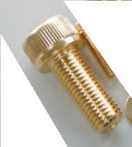 CF-POSH シーエフポッシュ ステンレスキャップボルト M6 24Kメッキ M6X65 カタログ品番：P049-0381 メーカー品番：810640-065