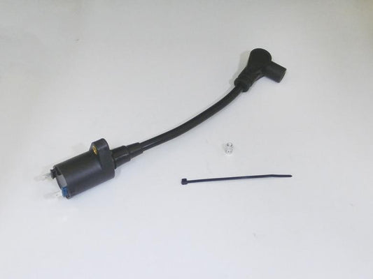 CF-POSH シーエフポッシュ IGコイル黒＋プロツインコード黒 NSF100 カタログ品番：P098-3577 メーカー品番：615011-09