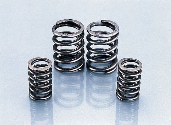 KITACO キタコ バルブスプリングセット CB50 XE50 カタログ品番：P025-4621 メーカー品番：303-1018000