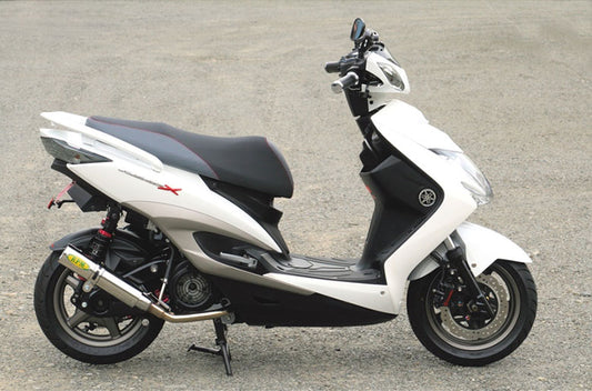 アールピーエム RPM RPMマフラー CYGNUS-X125(SE44J) カタログ品番：P055-0595 メーカー品番：3029