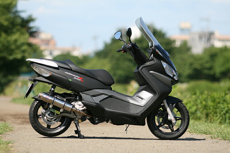 アールピーエム RPM 80D-RAPTOR MADISON250III カタログ品番：P028-2788 メーカー品番：6016D