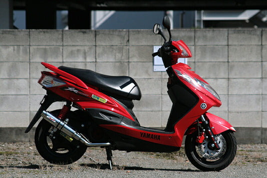 アールピーエム RPM 80D-RAPTOR CYGNUS-X125(SE44J) カタログ品番：P034-1423 メーカー品番：6028D