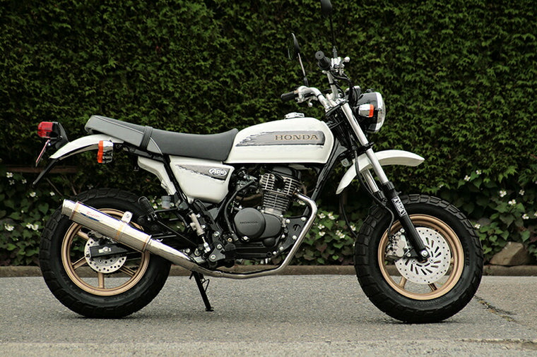 アールピーエム RPM 80D-RAPTOR APE100 TYPE-D(EBJ-HC13) カタログ品番：P044-4788 メーカー品番：6036D