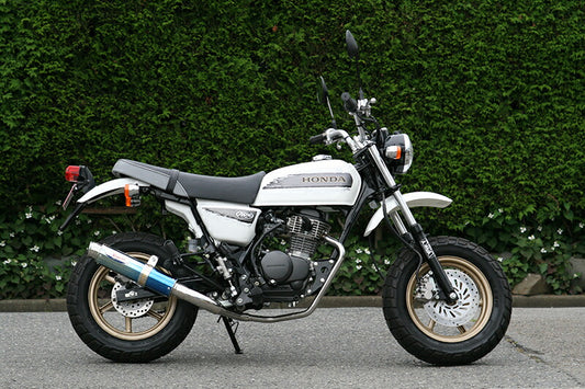 アールピーエム RPM 80D-RAPTOR Titan APE100 TYPE-D(EBJ-HC13) カタログ品番：P044-4789 メーカー品番：6036Z